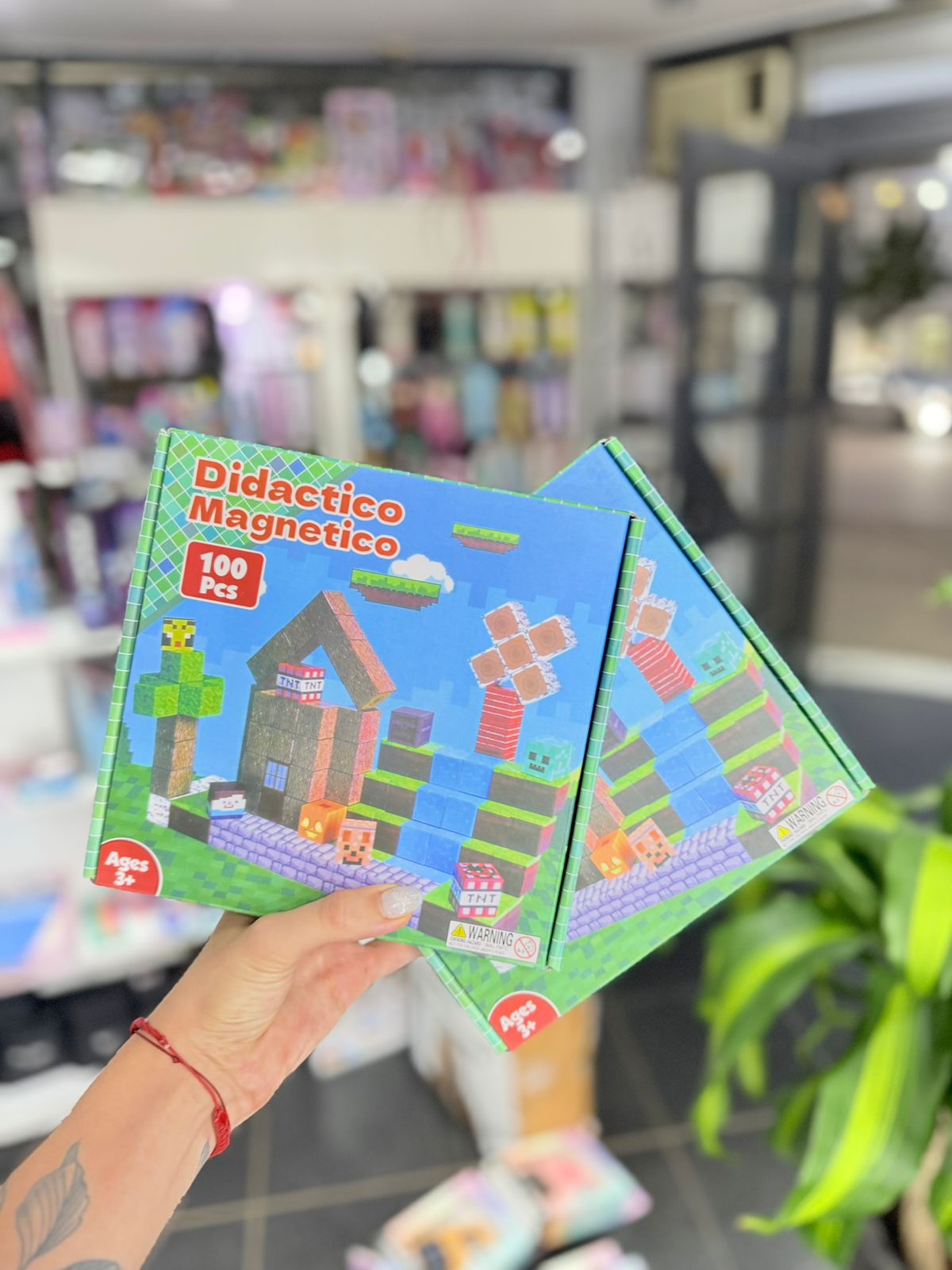 Didáctico magnético x100 piezas 2